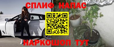 трава Назарово