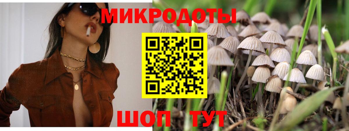 Псилоцибиновые грибы мухоморы Домодедово