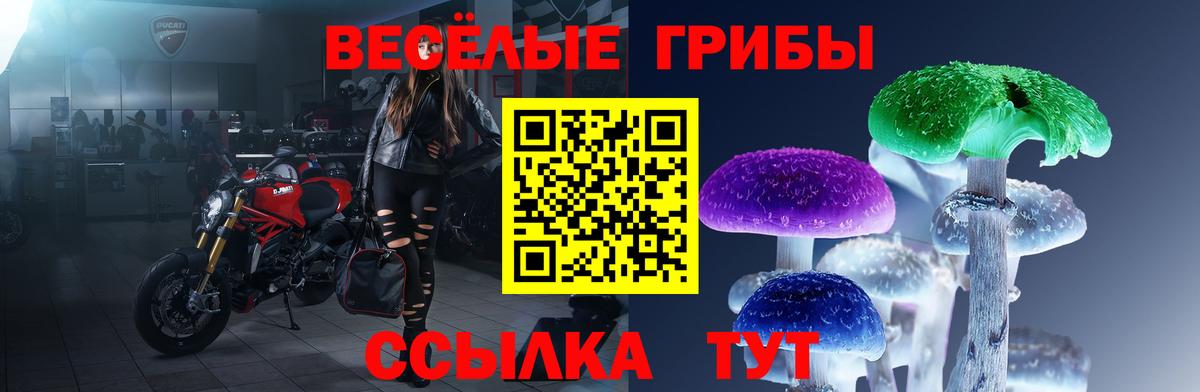 Домодедово  Галлюциногенные грибы Cubensis  закладки  Вход с VPN 